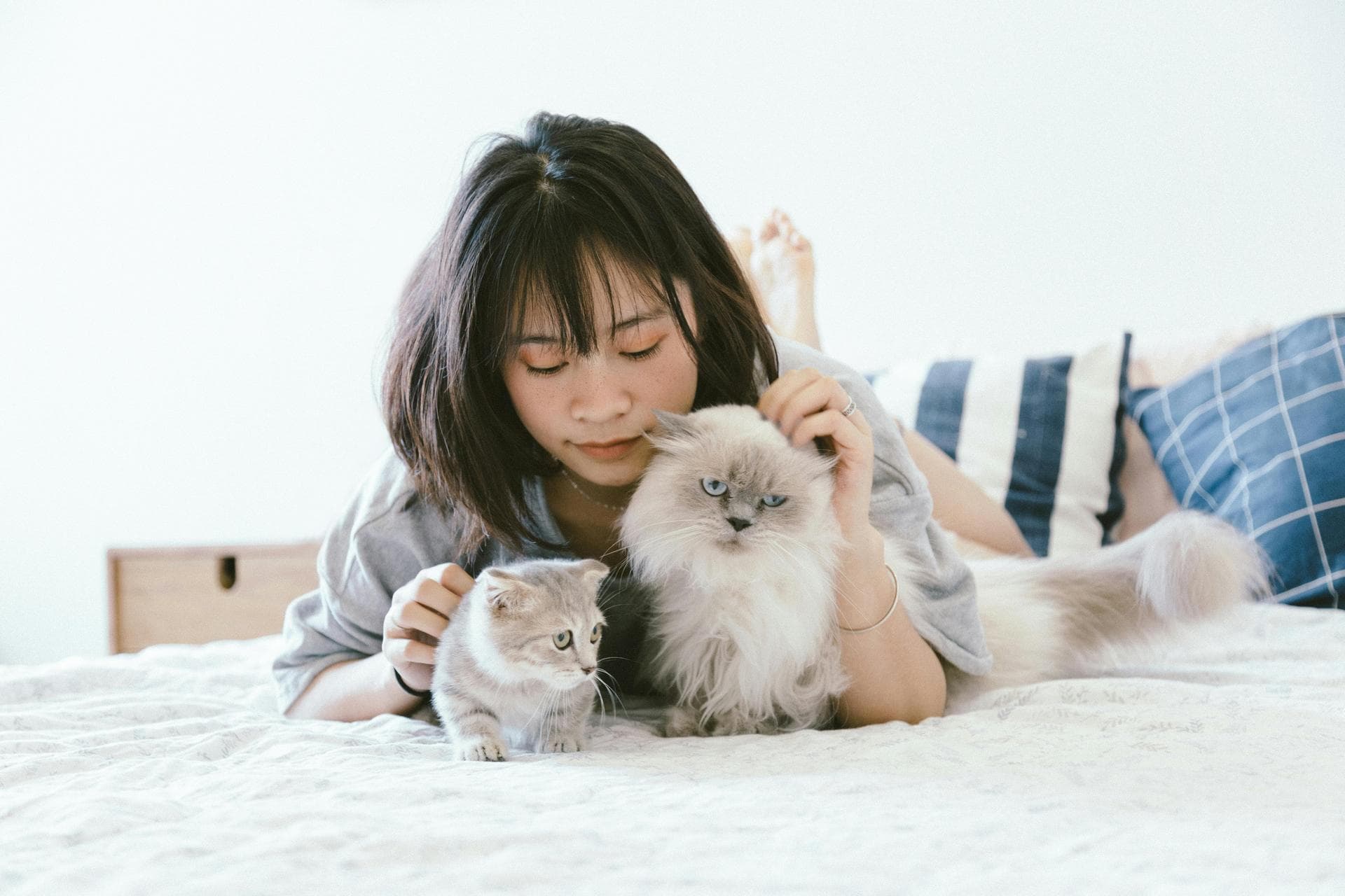 Kennel Cough Vaccine Prices in Lambeth